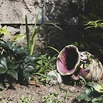 Appartamento Acqua Tra Lago Maggiore E Lago D'Orta - Colazza * Colazza