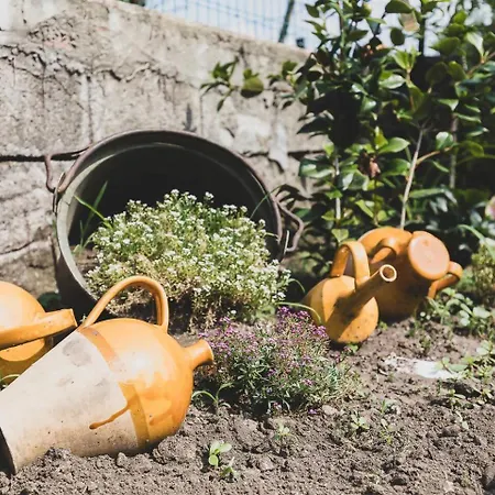 Διαμέρισμα Tra Maggiore E D'orta Acqua *