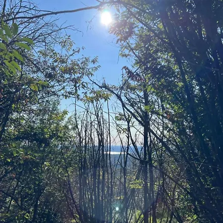 Διαμέρισμα Tra Maggiore E D'orta Acqua Colazza