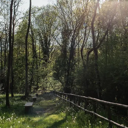 Tra Maggiore E D'orta Acqua *