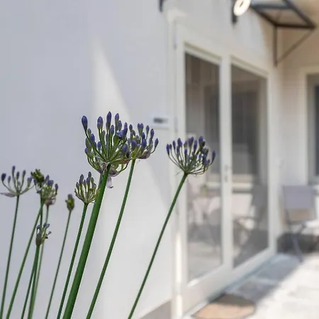 Apartamento Acqua - A Casa Di Lu Colazza