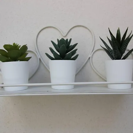 Tra Maggiore E D'orta Acqua Διαμέρισμα Colazza