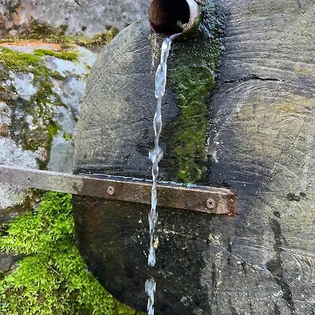 Tra Maggiore E Dorta Acqua Apartment